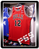 球迷版公牛軒烈治客場紅色球衣 NBA Bulls Hinrich Jersey XL